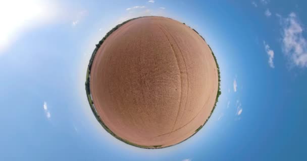 Yellow wheat field spherical panorama - Footage, Video
