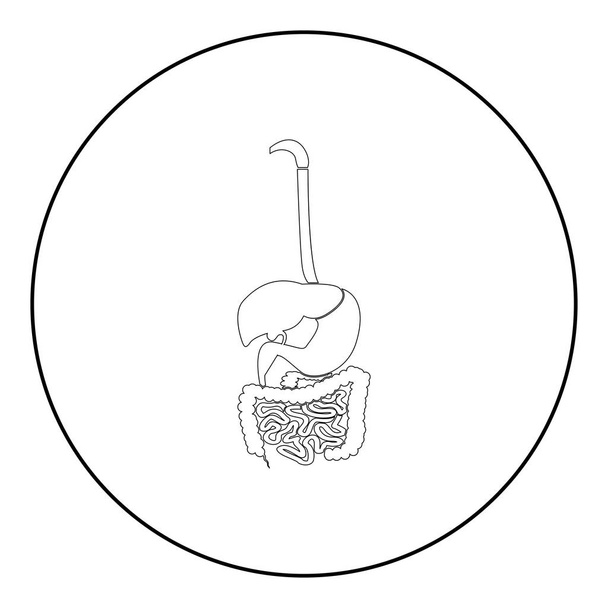 Ícone do sistema digestivo cor preta em círculo redondo esboço ilustração vetorial
 - Vetor, Imagem