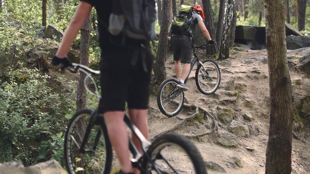 trial bikers in helmets with backpacks riding bikes in pine forest - Felvétel, videó