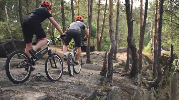 δοκιμαστική ποδηλάτες σε κράνη ιππασία ποδήλατα σε πευκόφυτο δάσος - Πλάνα, βίντεο