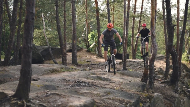 ciclistas de trial en cascos a caballo bicicletas en el bosque de pinos
 - Metraje, vídeo