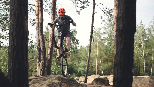 Junger Trial-Biker fährt Fahrrad im Kiefernwald - Filmmaterial, Video