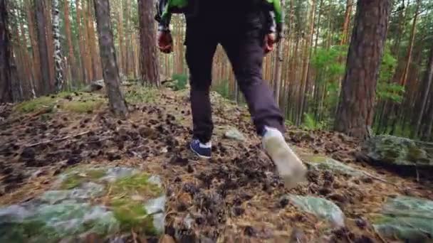 Low angle view of male tourists legs walking in forest on grass among trees stepping on rocks and pine cones. Trekking footwear, people and adventures concept. - Footage, Video