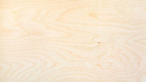 drewniane panoramiczne tła od brzoza naturalna płyty - Zdjęcie, obraz