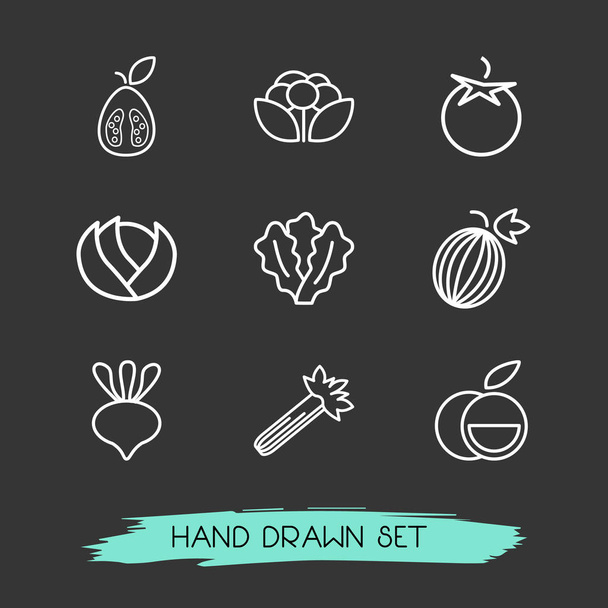 Set vitamine pictogrammen lijn stijl symbolen met tomaat, bloemkool, guave en andere pictogrammen voor uw web mobiele app logo ontwerp. - Vector, afbeelding