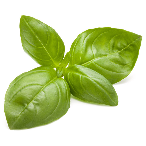 Sweet basil herb leaves isolated on white background closeup  - Foto, Bild