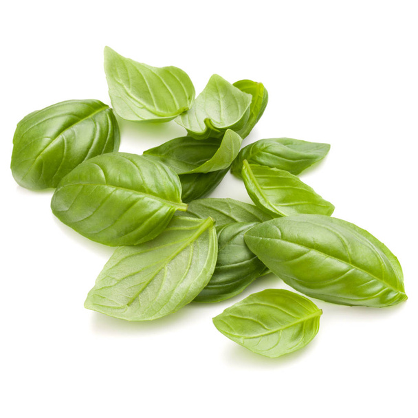 Sweet basil herb leaves handful isolated on white background clo - 写真・画像