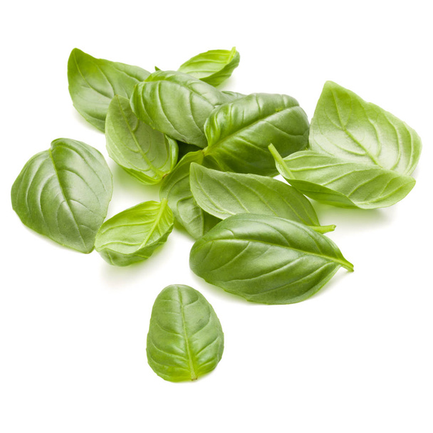 Sweet basil herb leaves handful isolated on white background clo - Foto, immagini
