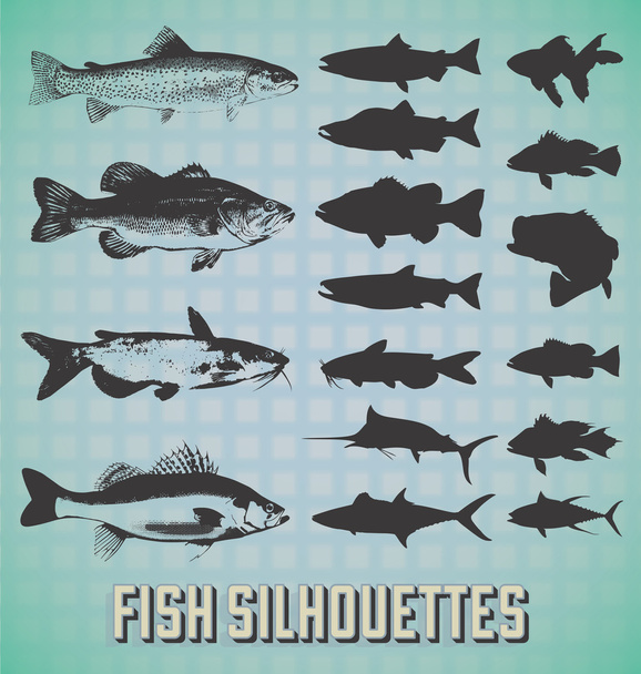 Vector Set: Fish Silhouettes - Vector, Image
