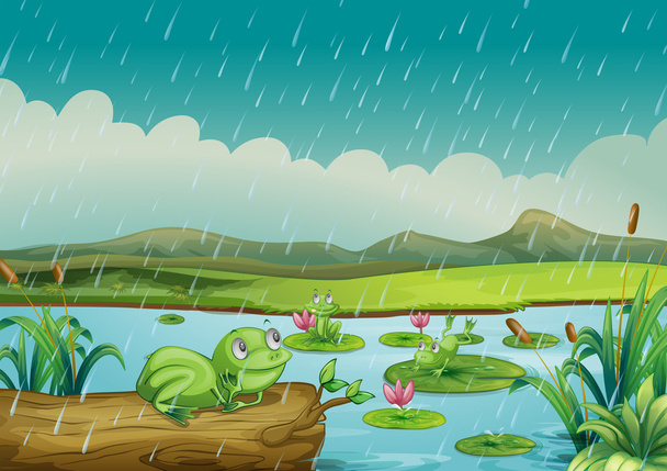 Three frogs enjoying the raindrops - Vector, Image