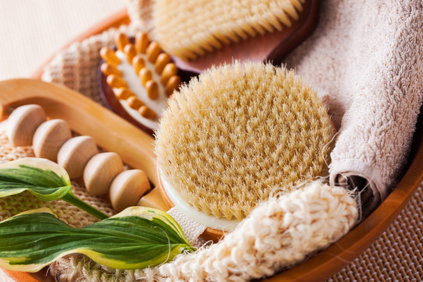 Closeup of brushes for dry body massage and green leaves - Photo, Image