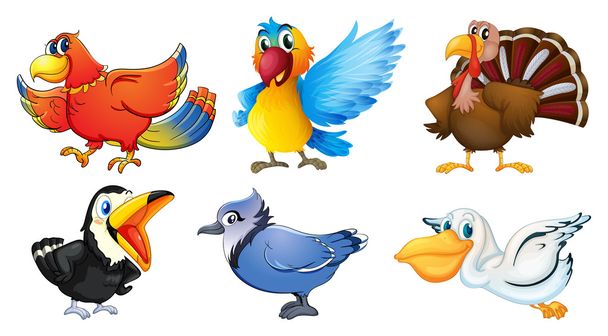 Different types of birds - Vector, Image