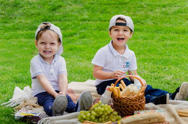 Zwei Jungen im Alter von drei Jahren sitzen auf einem karierten Plaid auf dem grünen Rasen im Park und trinken Joghurt. Kinder beim Picknick auf einer grünen Wiese. - Foto, Bild