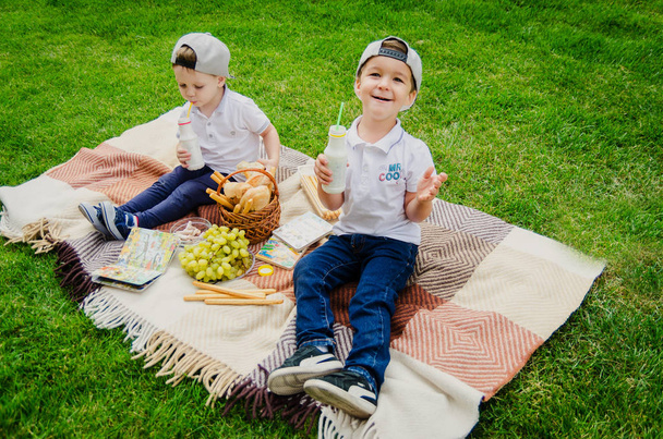 Dos chicos de tres años están sentados en una manta a cuadros sobre la hierba verde del parque y bebiendo yogur. Niños en un picnic en un prado verde
. - Foto, imagen