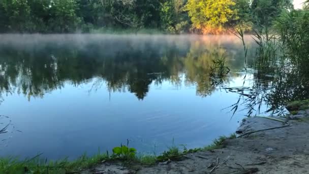 川の時間経過表示は夜明けに霧で覆われています。ウクライナ - 映像、動画