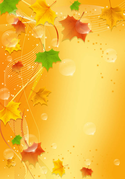 Autumn background with leaves  - Vector, Image
