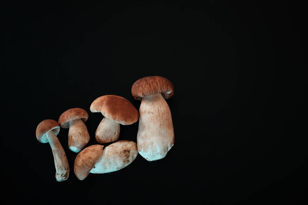 uma variedade de cogumelos para cozinhar
 - Foto, Imagem