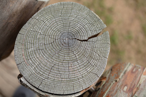 Nahaufnahme eines Holzhintergrundes mit Jahresringen. hochauflösendes Bild. detaillierte organische Oberfläche - Foto, Bild