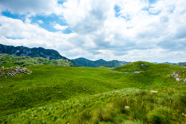zöld fű, a hegyek és a felhős ég a Durmitor massif, Montenegró  - Fotó, kép