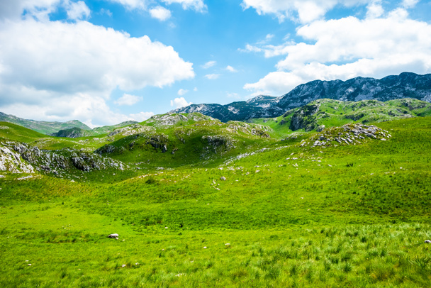 πράσινο γρασίδι και τα βουνά του ορεινού όγκου Ντουρμίτορ, Μαυροβούνιο  - Φωτογραφία, εικόνα