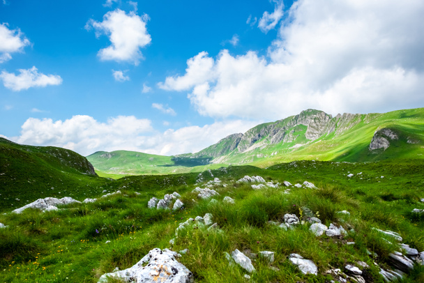 kövek a fű-völgy a Durmitor massif, Montenegró - Fotó, kép