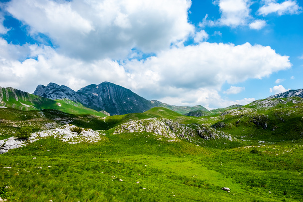green valley, mountains and blue cloudy sky in Durmitor massif, Montenegro - Photo, Image