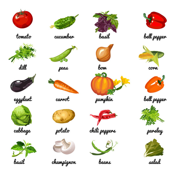 Cute poster on topic of healthy diet. Vegetables and herbs are rich in fiber. Sample card, cover for cookbook or manual for weight loss with inscriptions the names of vegetables. Cartoon vector. - Vektor, obrázek