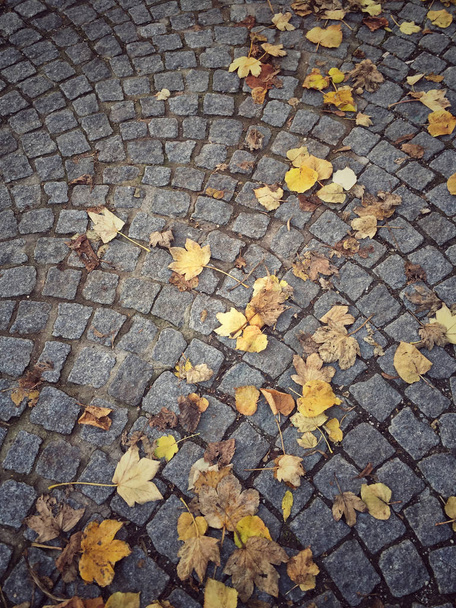 hojas secas de otoño amarillo en la calle de piedra de guijarro
 - Foto, imagen