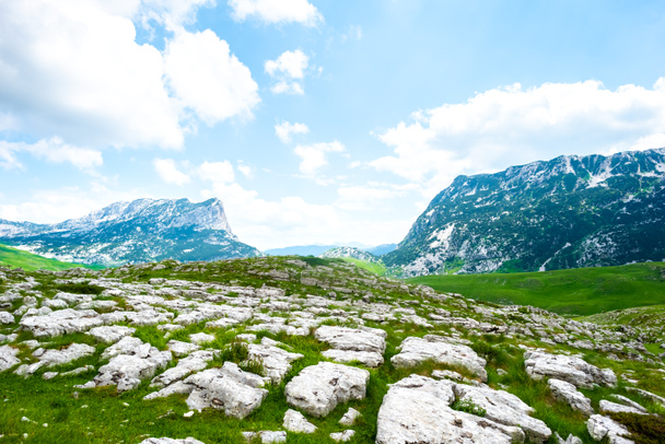 vallée verte avec des pierres dans le massif de Durmitor, Monténégro
 - Photo, image
