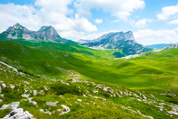 green valley with stones and mountain range in Durmitor massif, Montenegro - Foto, afbeelding