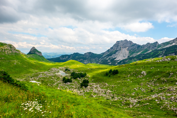 πανέμορφη πράσινη κοιλάδα με μικρές πέτρες στον ορεινό όγκο Ντουρμίτορ, Μαυροβούνιο - Φωτογραφία, εικόνα