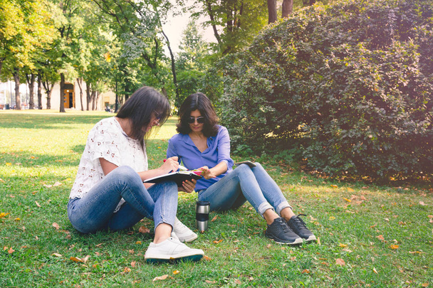 Two brunette girls discuss a plan and write to a notebook. Concept design thiking and creative ideas. Women on the grass in the summer park. - Fotografie, Obrázek
