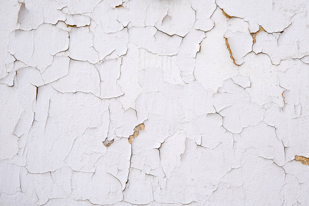 Cracks in the white old plaster . Background for a variety of interesting materials. - Photo, Image