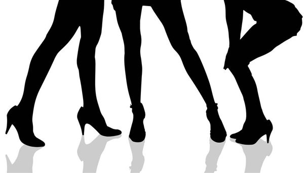 Vector silhouette of female feet on a white background. - Vector, Image