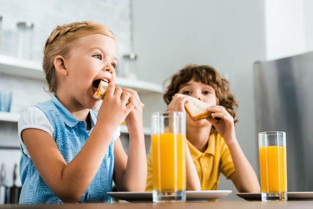 ローアングル観かわいい小さな子供食べるおいしいサンドイッチ - 写真・画像