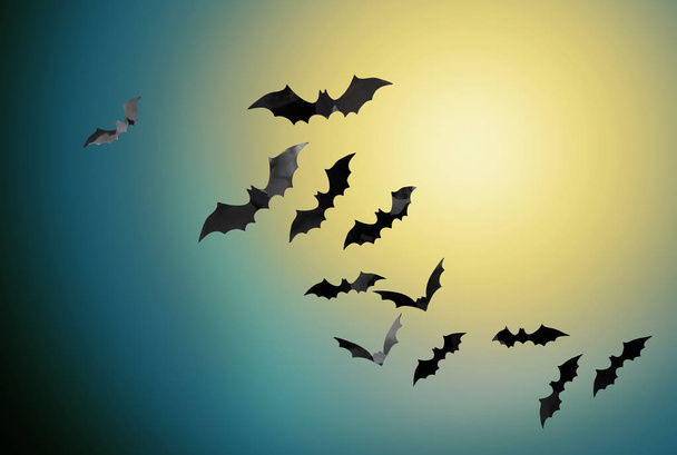 bats flying over moonlight in night sky background - Photo, Image