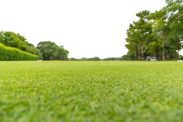 Concentre-se grama verde no campo de golfe borrão no fundo branco. Estilo de tiro de ângulo baixo
. - Foto, Imagem
