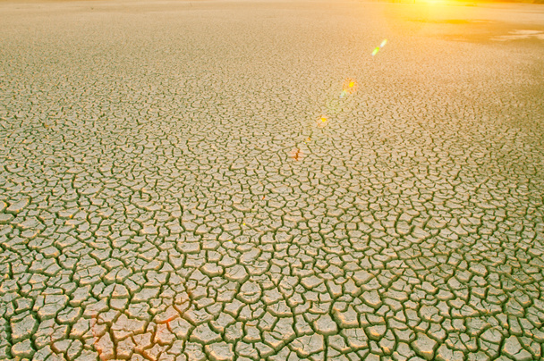 Трещины сухой почвы в качестве фона
 - Фото, изображение