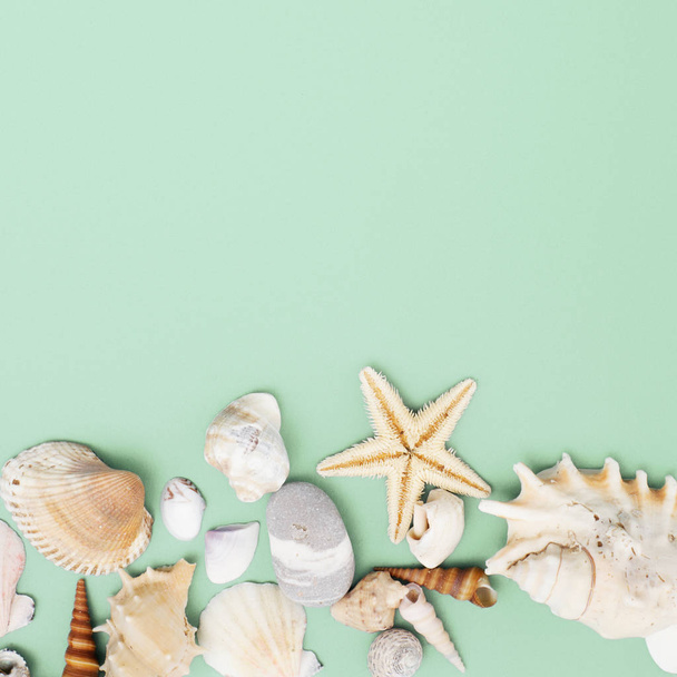Flat lay. Top view. Frame of shells of various kinds on a green blue background. Seashells and starfish on a pastel background. Vacation concept - Photo, Image