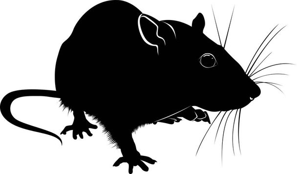 silhouette of rat isolated on white background - Vector, Image