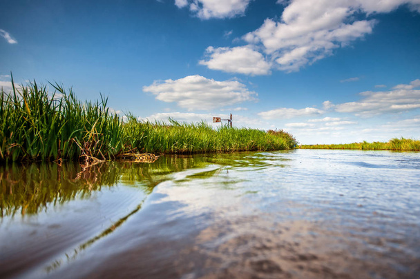 Reedlands és a víz csatornák között a Hollandse polder természetes holland mezőgazdasági táj rétek - Fotó, kép