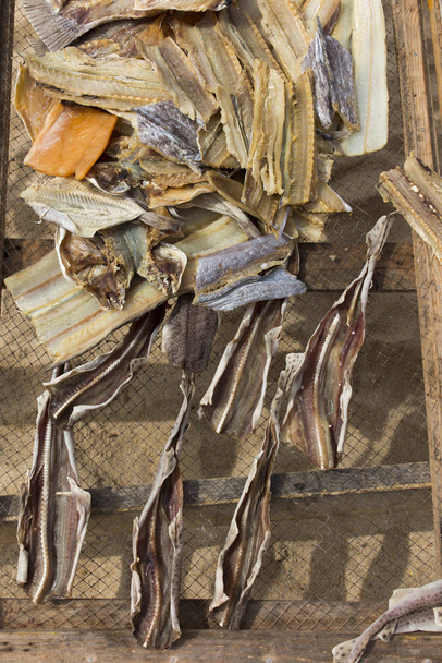 Vis liggend op netten, gedroogd in de zon, op het strand in Nazare, Poryugalia als achtergrond - Foto, afbeelding