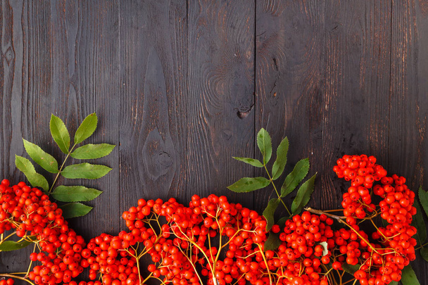 Seasonal fall concept, berries in frame on wooden table - Foto, Imagem