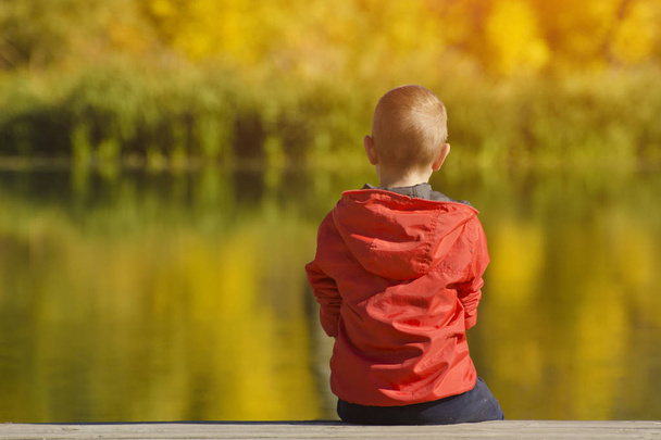 İskelede oturup elinde yaprakları kırmızı ceketli çocuk. Sonbahar, güneşli. Arkadan görünüm - Fotoğraf, Görsel
