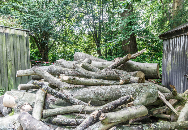 Вид на большую груду свежесрезанных дров рядом с некоторыми будками, Великобритания
 - Фото, изображение