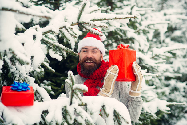 Christmas happy man hold present box in snowy winter forest - Valokuva, kuva