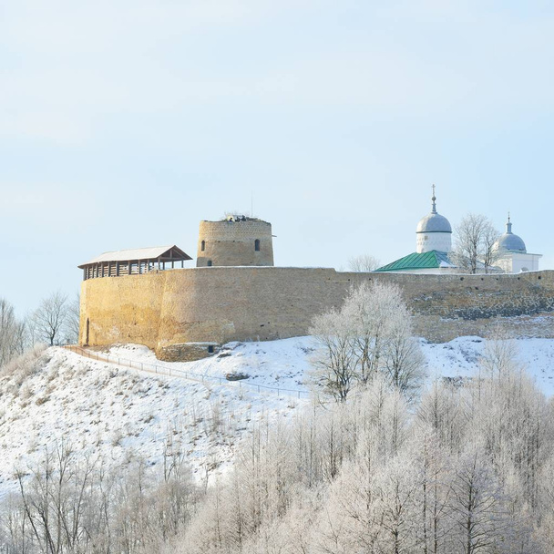 Стародавня фортеця Izborsk, оточений snowy берези Лісова. - Фото, зображення
