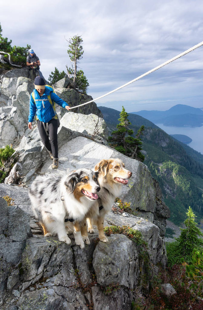 Girl hiking on the edge of a cliff with dogs during a cloudy summer day. Taken in Howe Sound Crest Trail, near Vancouver, BC, Canada. - 写真・画像