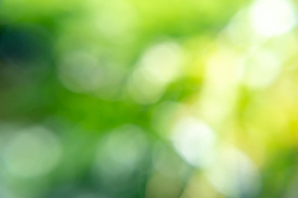 Green blur background with light - Fotó, kép