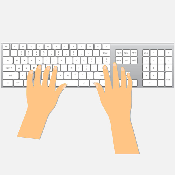 Manos humanas que utilizan un teclado, vector conceptual
 - Vector, Imagen
